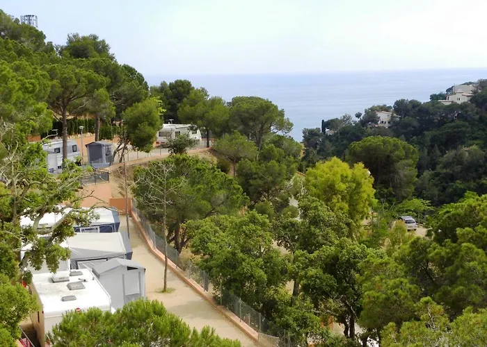 Senia Cala Canyelles キャンプ場 *