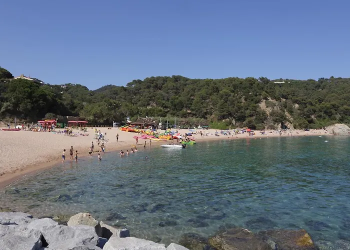 캠프장 Senia Cala Canyelles *
