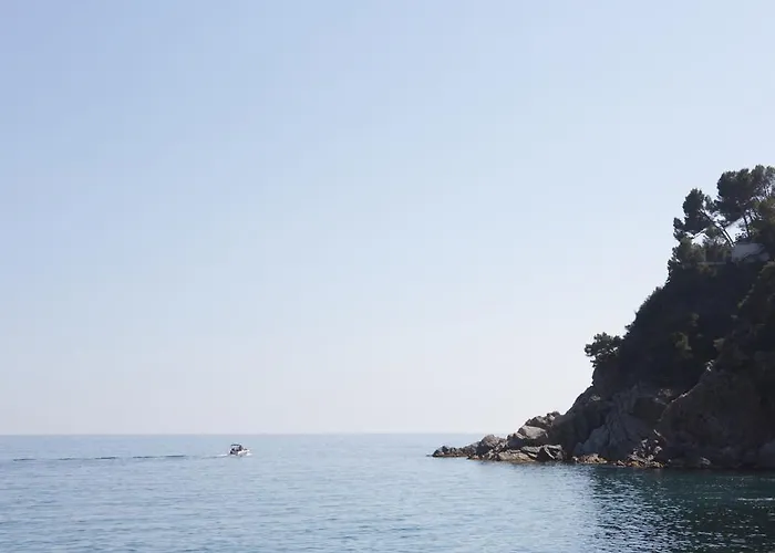 Campsite Senia Cala Canyelles